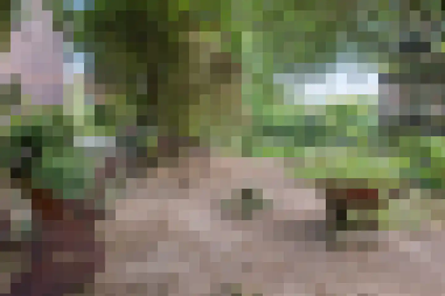 Heelsumseweg 15 Wolfheze thumbnail 41