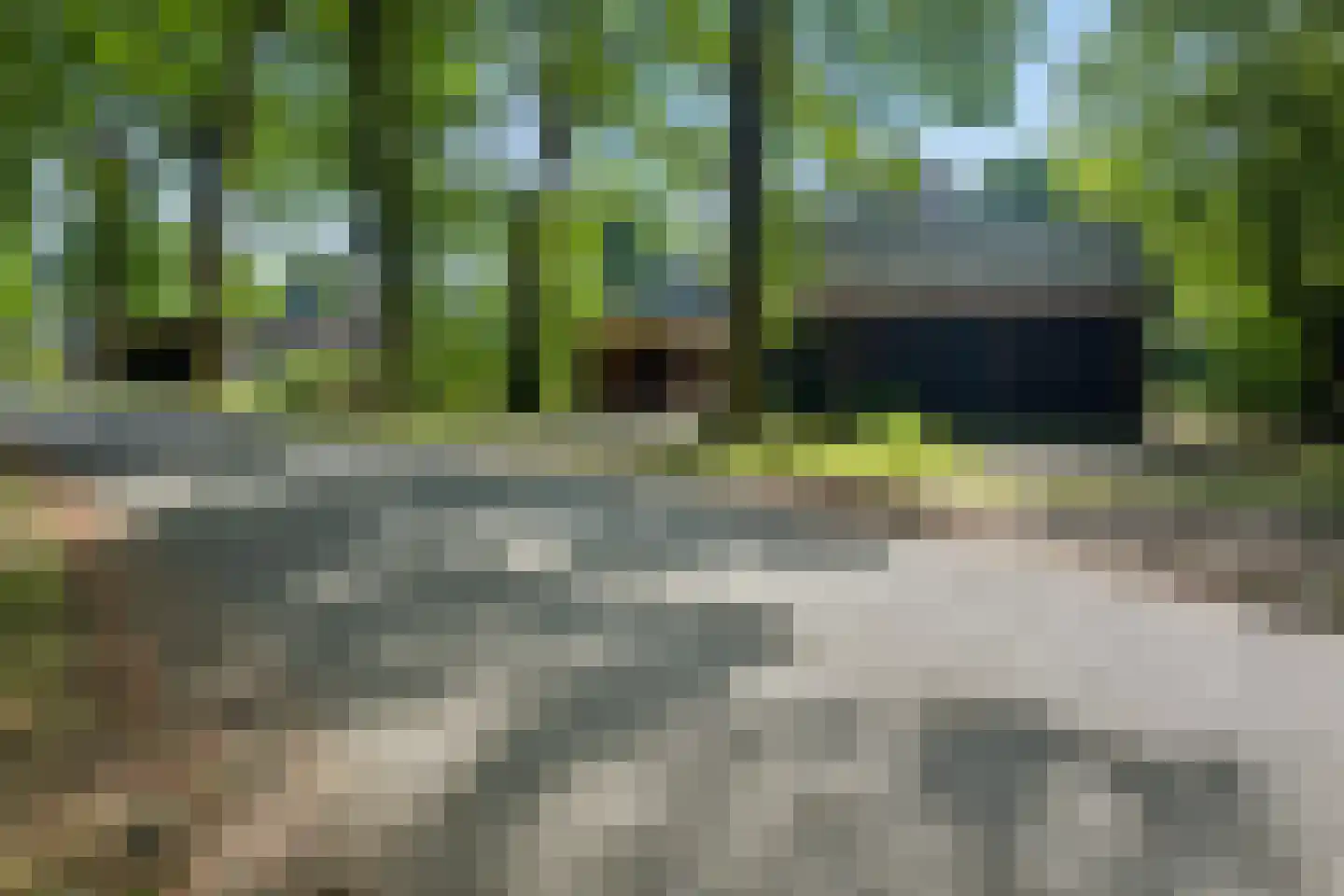 Heelsumseweg 15 Wolfheze thumbnail 43