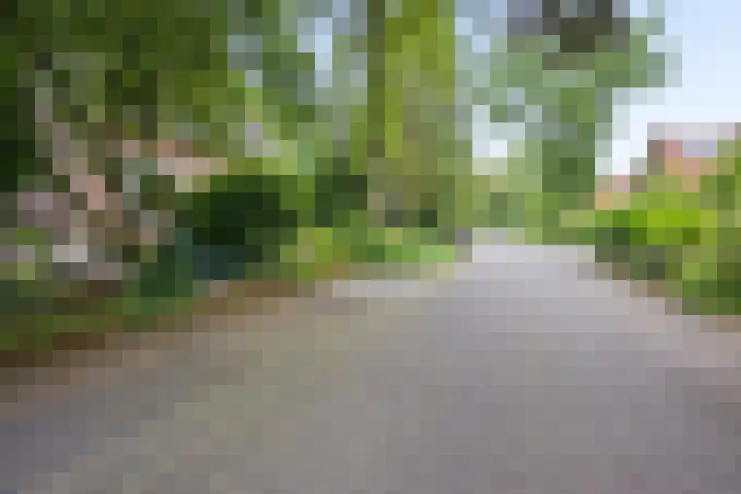 Heelsumseweg 15 Wolfheze thumbnail 49