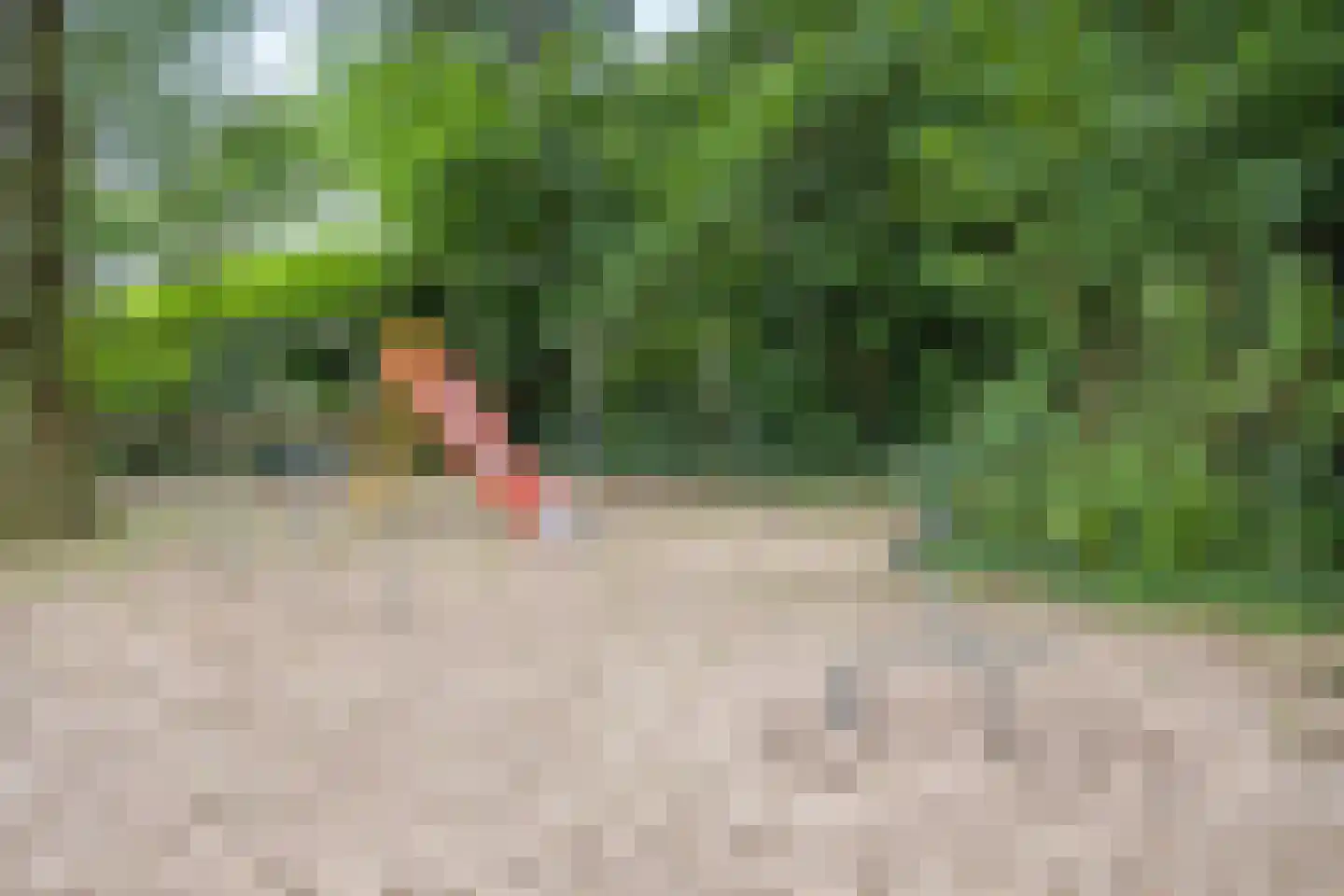 Heelsumseweg 15 Wolfheze thumbnail 50