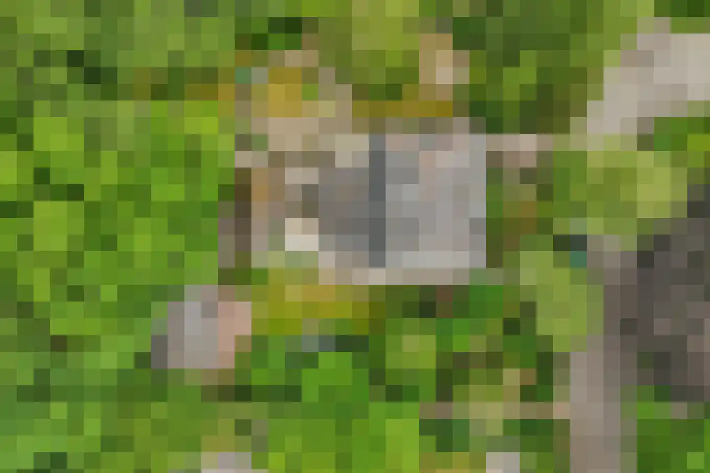 Heelsumseweg 15 Wolfheze thumbnail 53