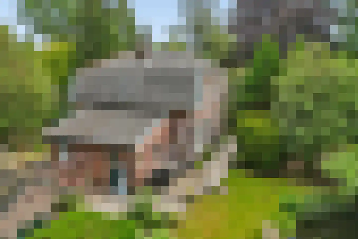 Heelsumseweg 15 Wolfheze thumbnail 54