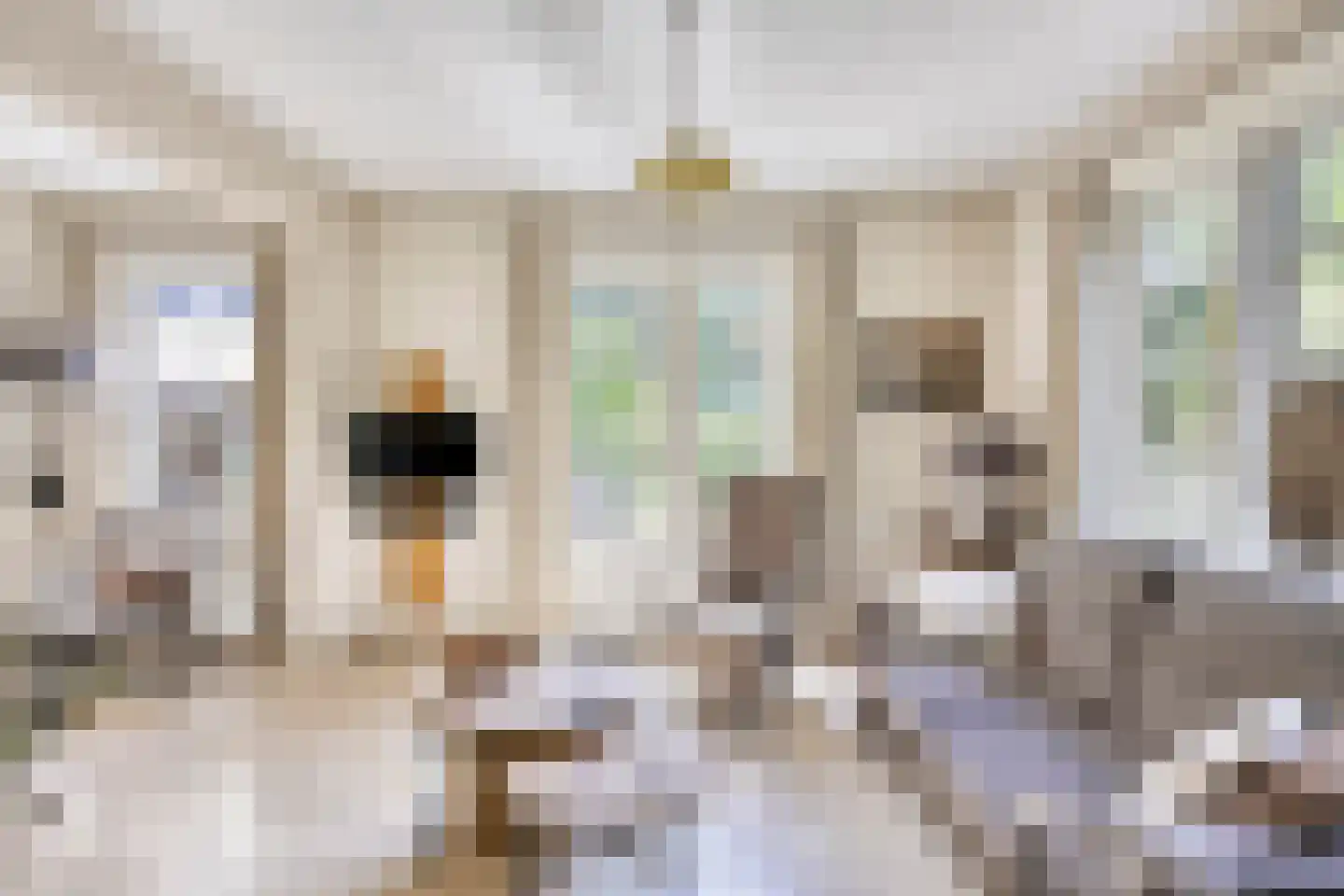 Heelsumseweg 39 Bennekom thumbnail 17