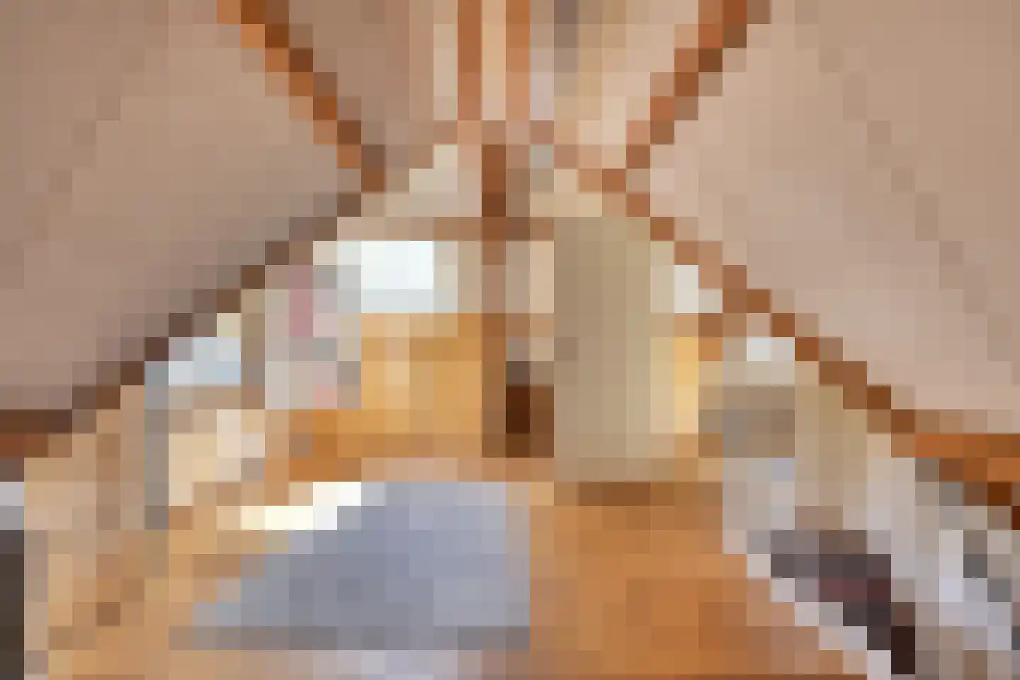 Heelsumseweg 39 Bennekom thumbnail 42