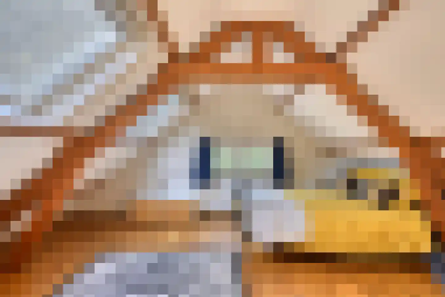 Heelsumseweg 39 Bennekom thumbnail 44