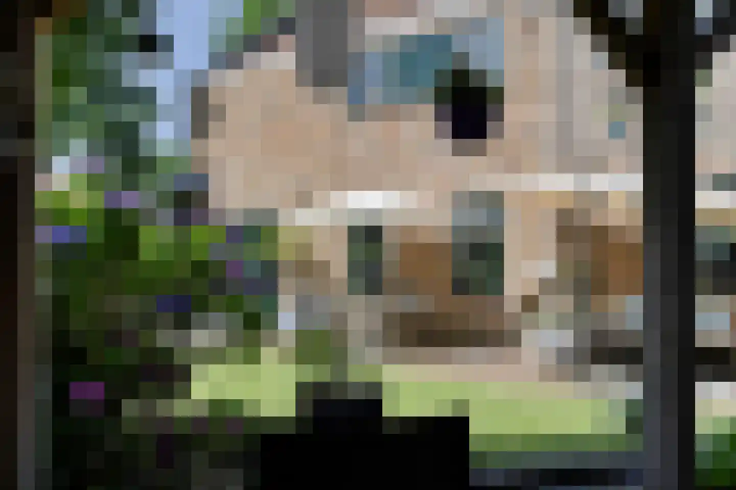 Heelsumseweg 39 Bennekom thumbnail 46