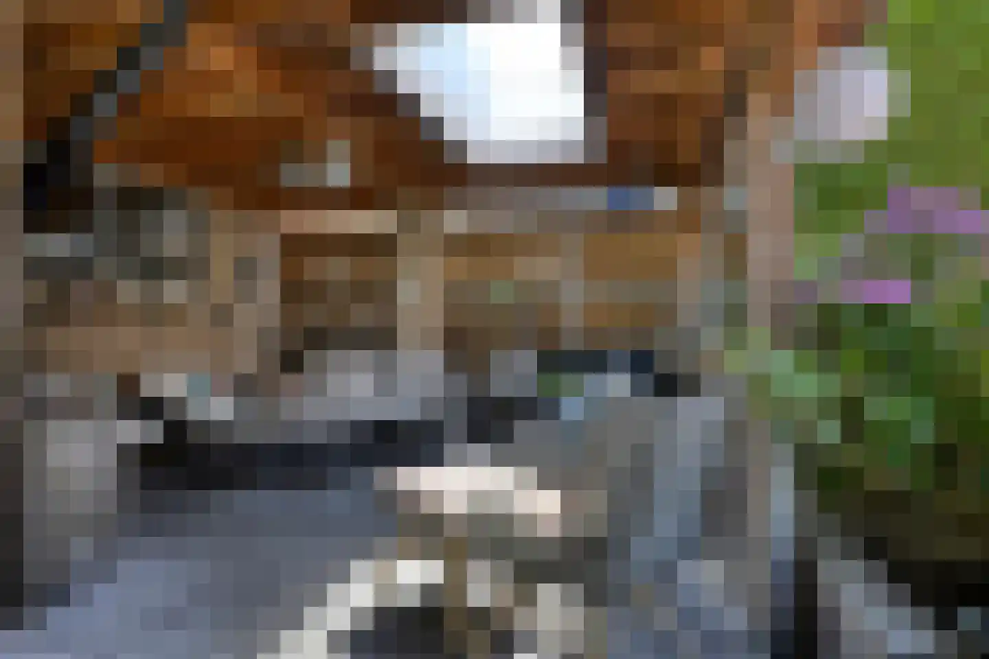 Heelsumseweg 39 Bennekom thumbnail 54