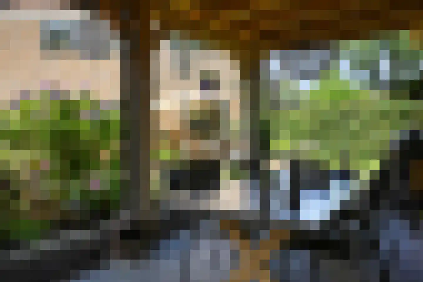 Heelsumseweg 39 Bennekom thumbnail 55