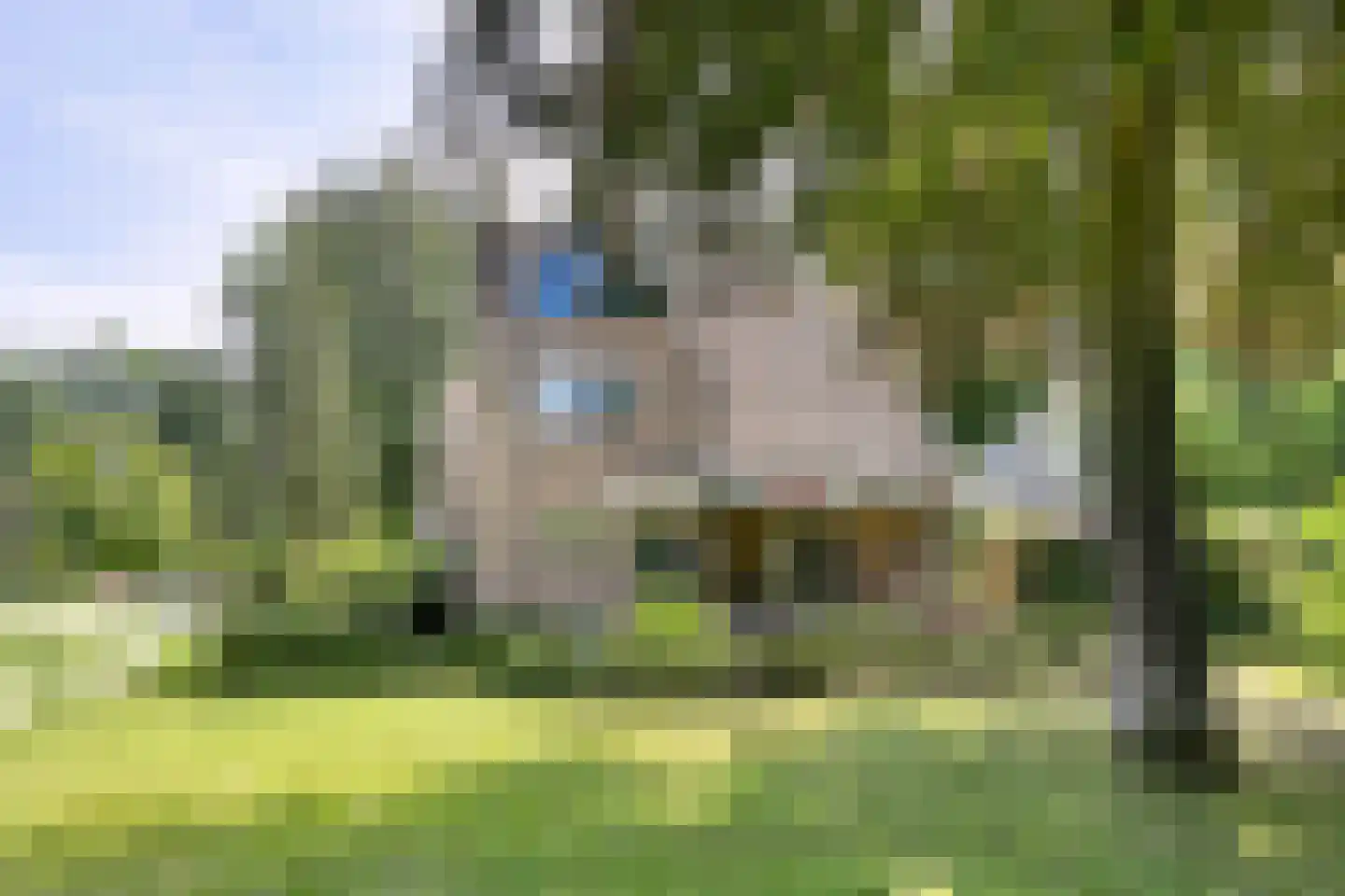 Heelsumseweg 39 Bennekom thumbnail 61