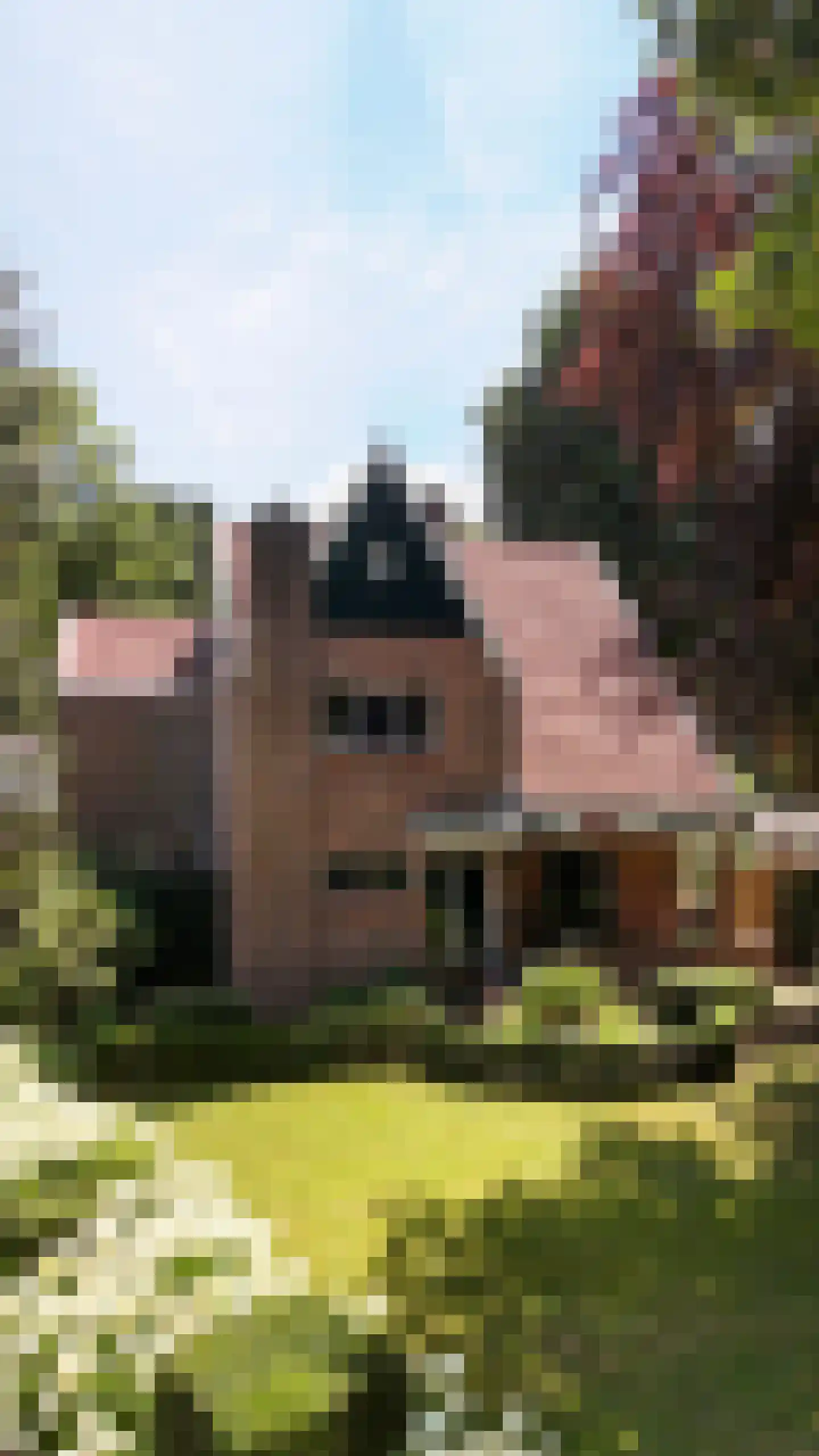 Heelsumseweg 39 Bennekom thumbnail 62