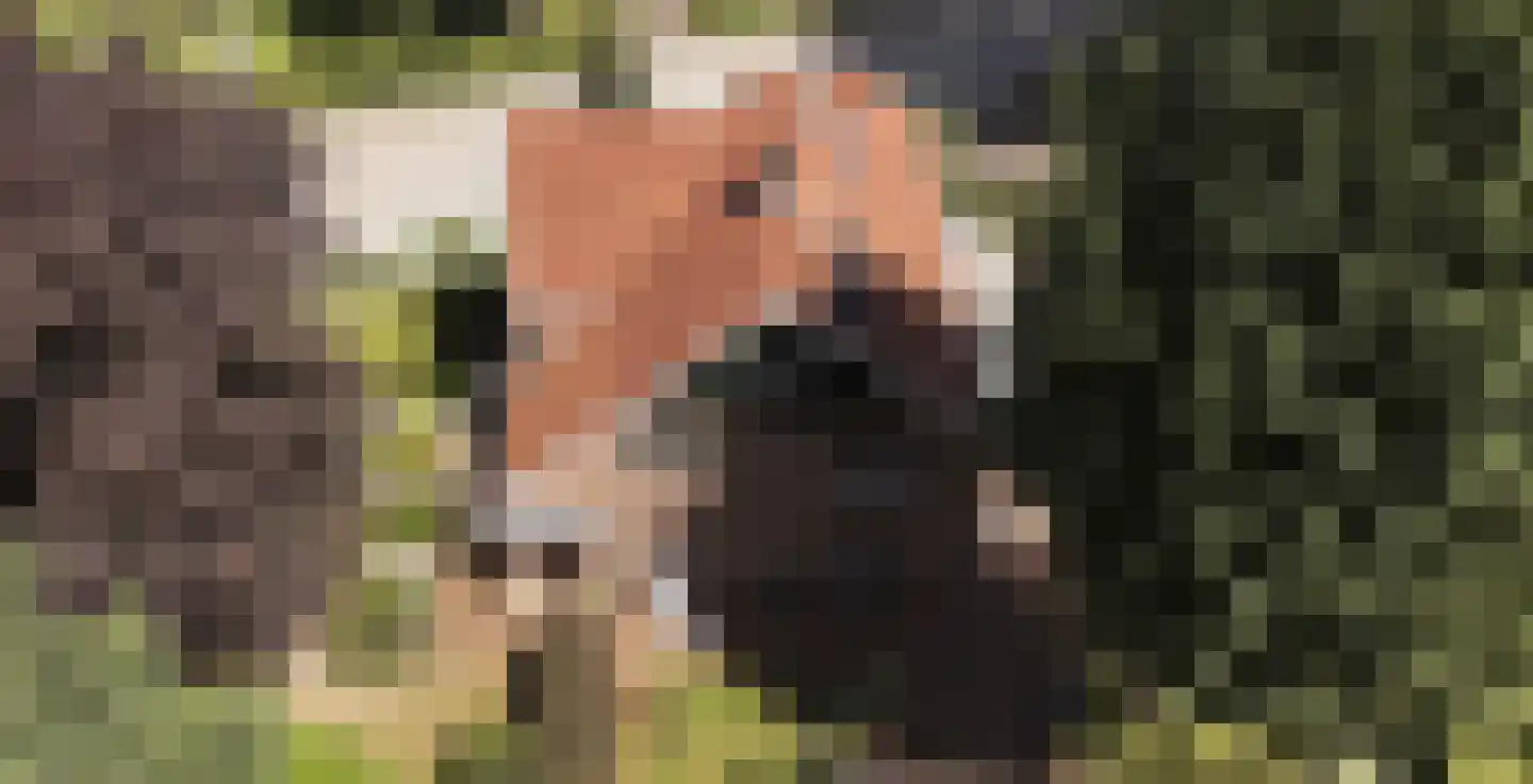 Heelsumseweg 39 Bennekom thumbnail 68