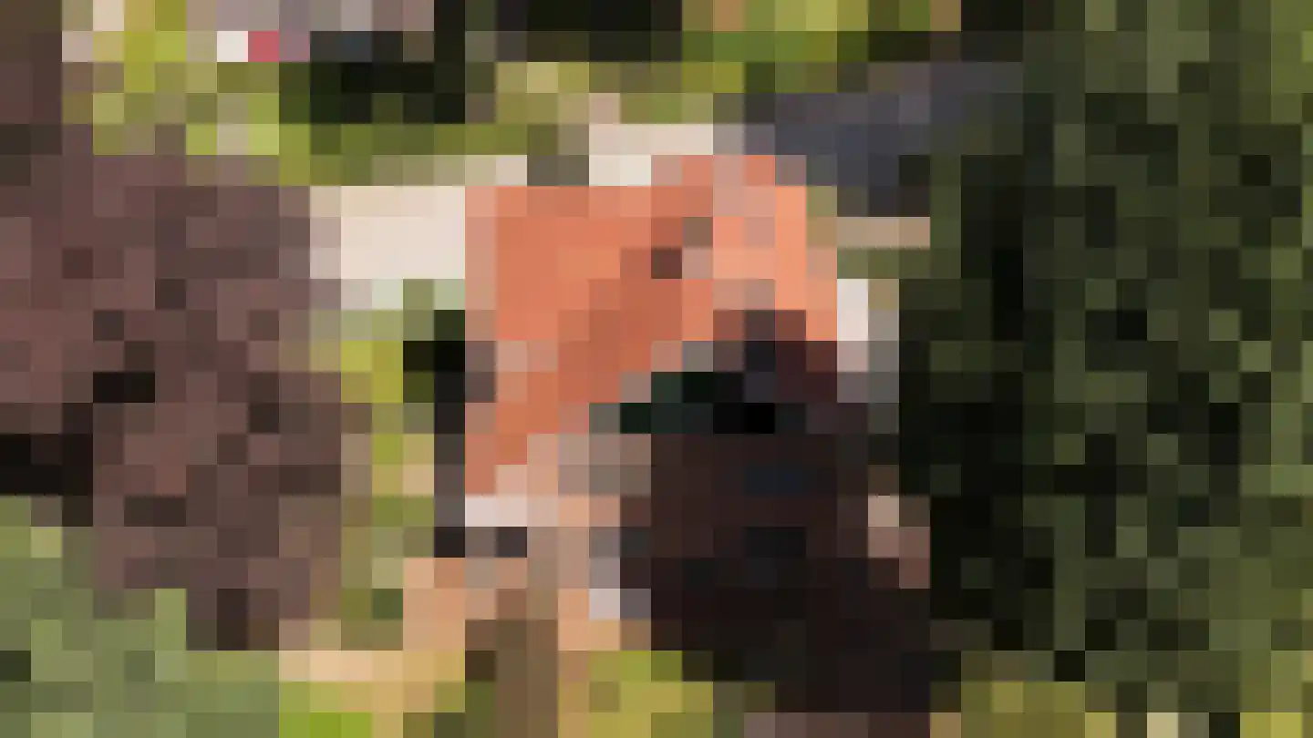 Heelsumseweg 39 Bennekom thumbnail 68