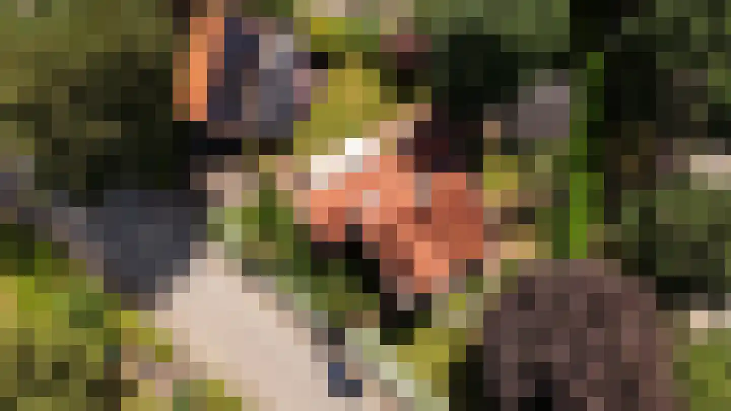 Heelsumseweg 39 Bennekom thumbnail 70
