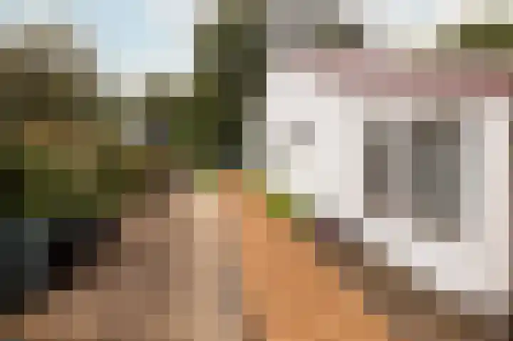 Heelsumseweg 51 Bennekom thumbnail 29