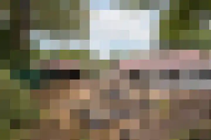 Heelsumseweg 51 Bennekom thumbnail 33