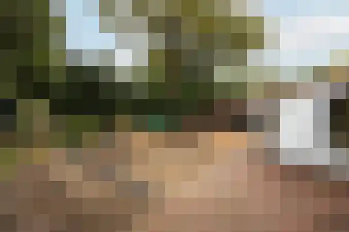 Heelsumseweg 51 Bennekom thumbnail 34