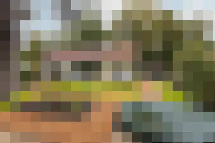 Heelsumseweg 51 Bennekom thumbnail 6