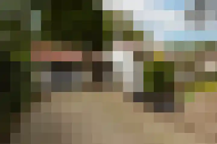 Heelsumseweg 51 Bennekom thumbnail 8