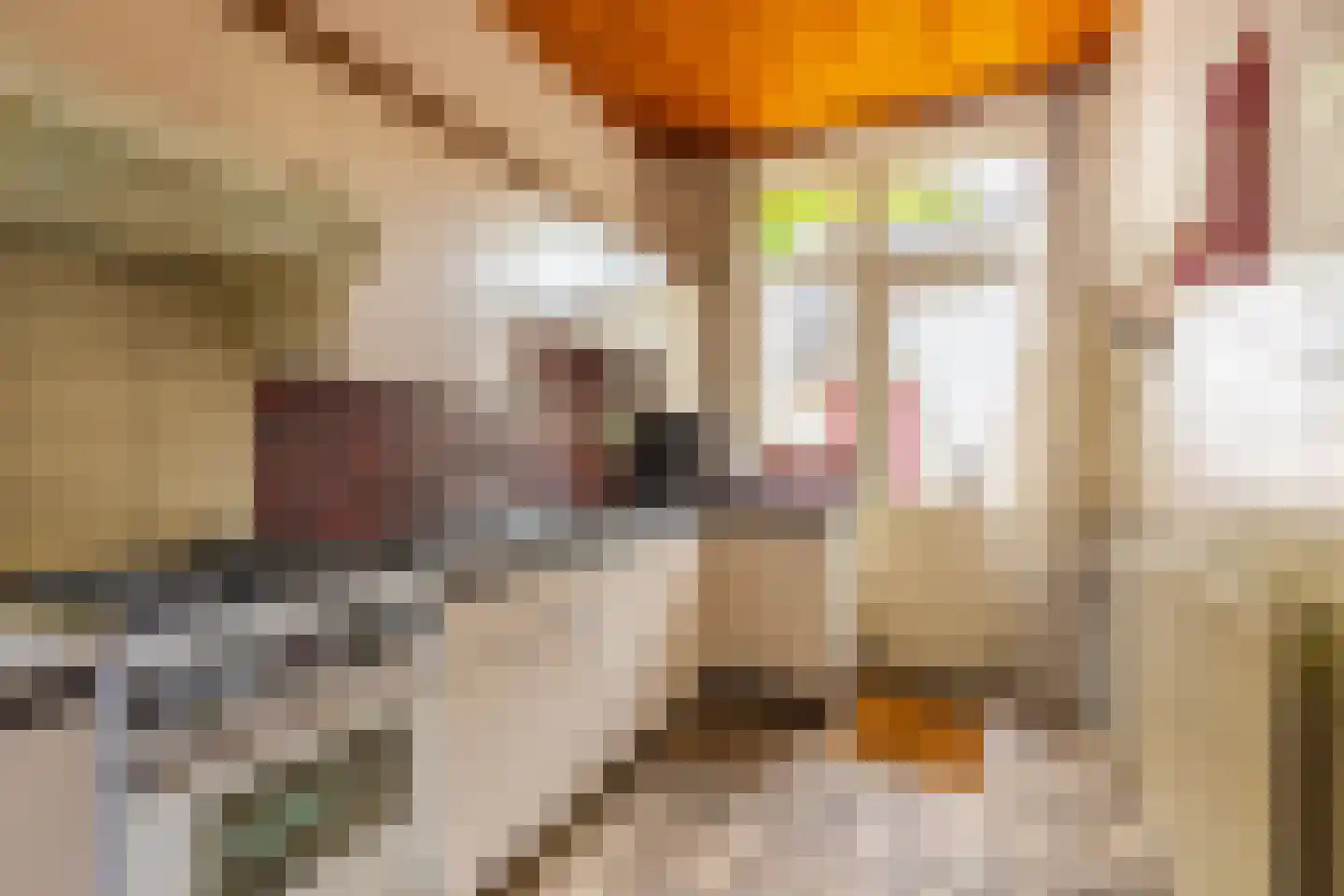 Heelsumseweg 52 Wolfheze thumbnail 12