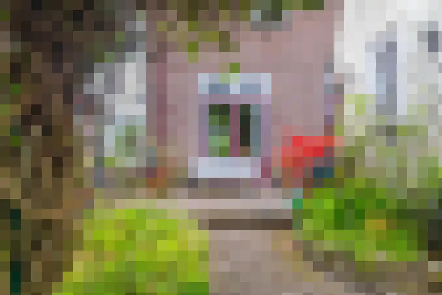 Heelsumseweg 52 Wolfheze thumbnail 15