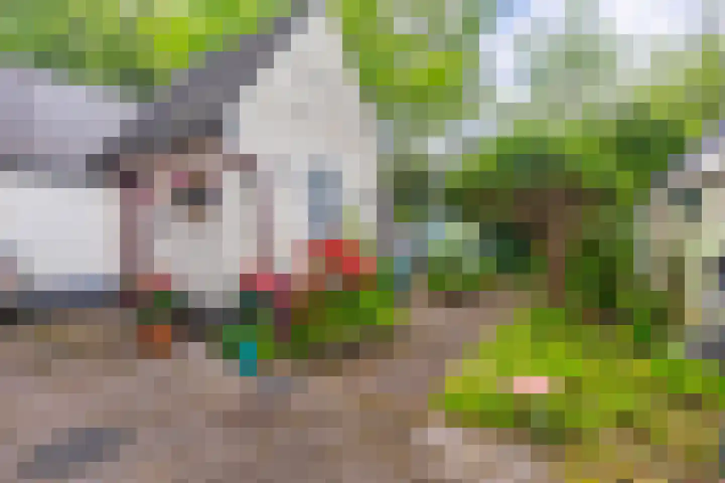 Heelsumseweg 52 Wolfheze thumbnail 16