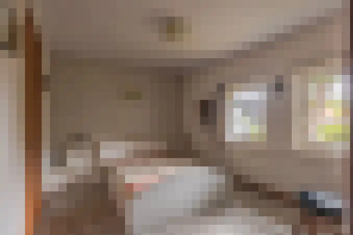 Heelsumseweg 52 Wolfheze thumbnail 18