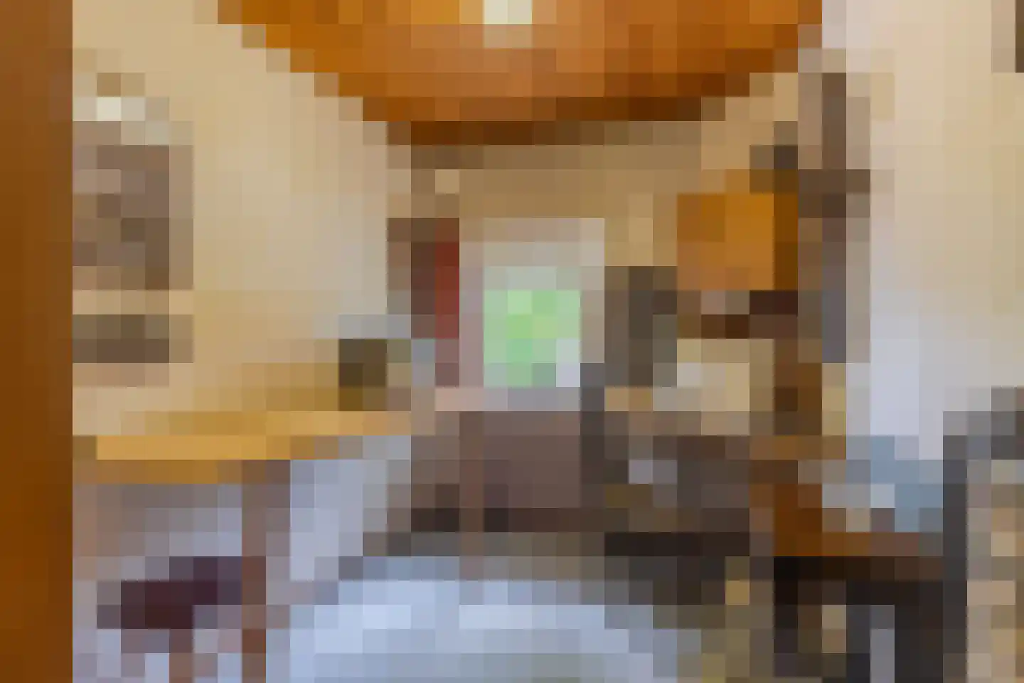 Heelsumseweg 52 Wolfheze thumbnail 21