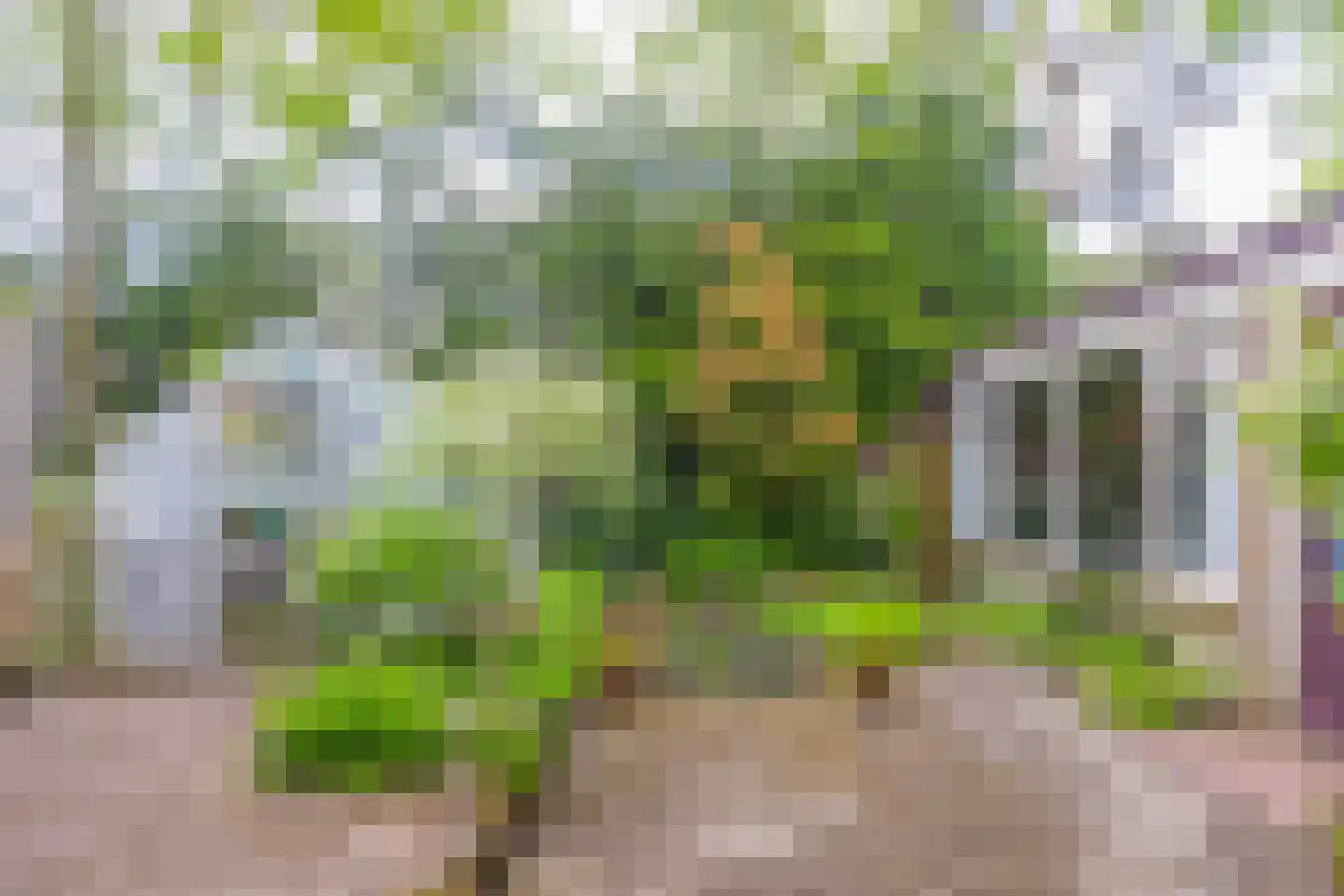 Heelsumseweg 52 Wolfheze thumbnail 26