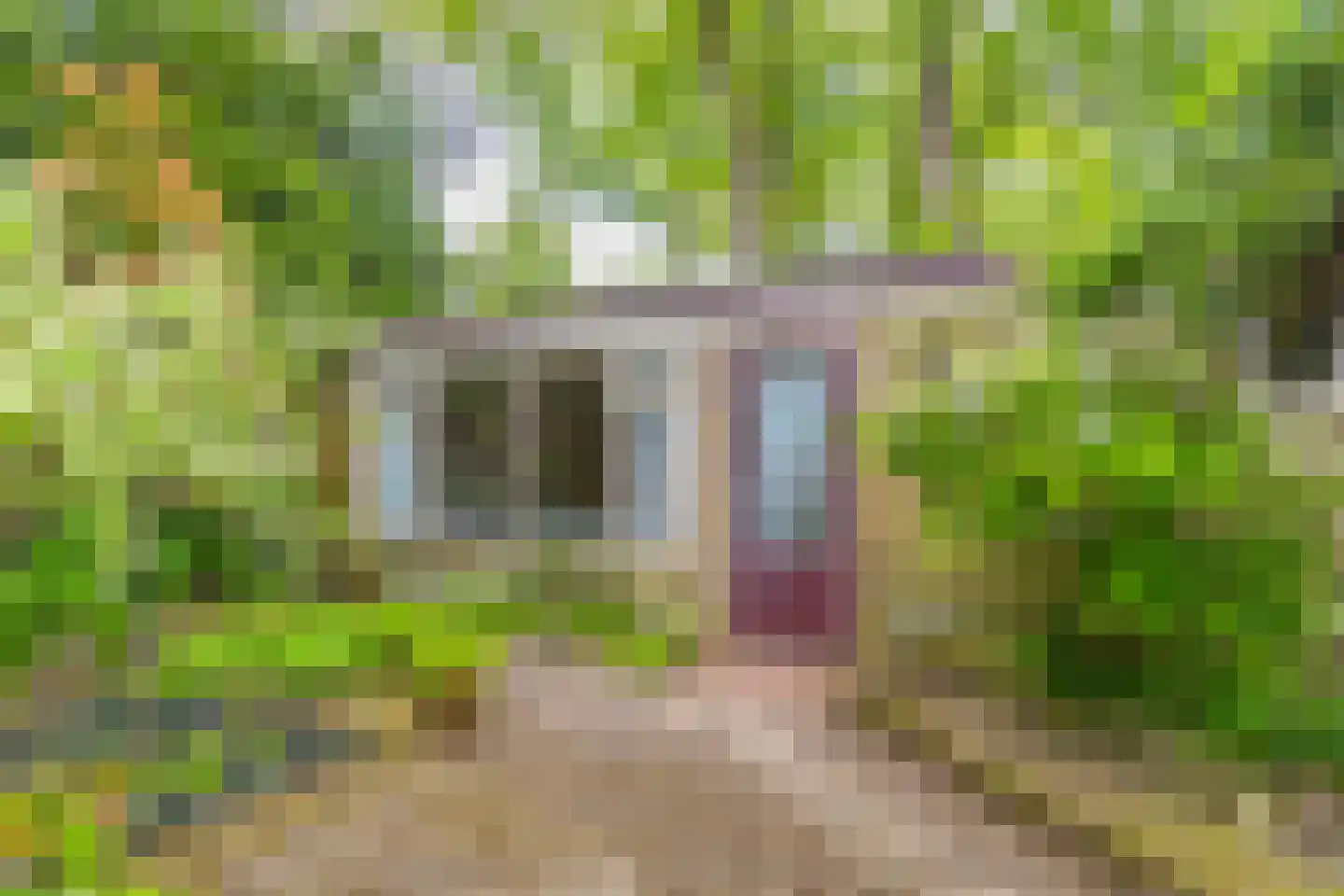 Heelsumseweg 52 Wolfheze thumbnail 27