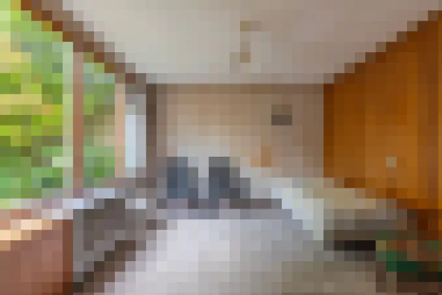Heelsumseweg 52 Wolfheze thumbnail 29