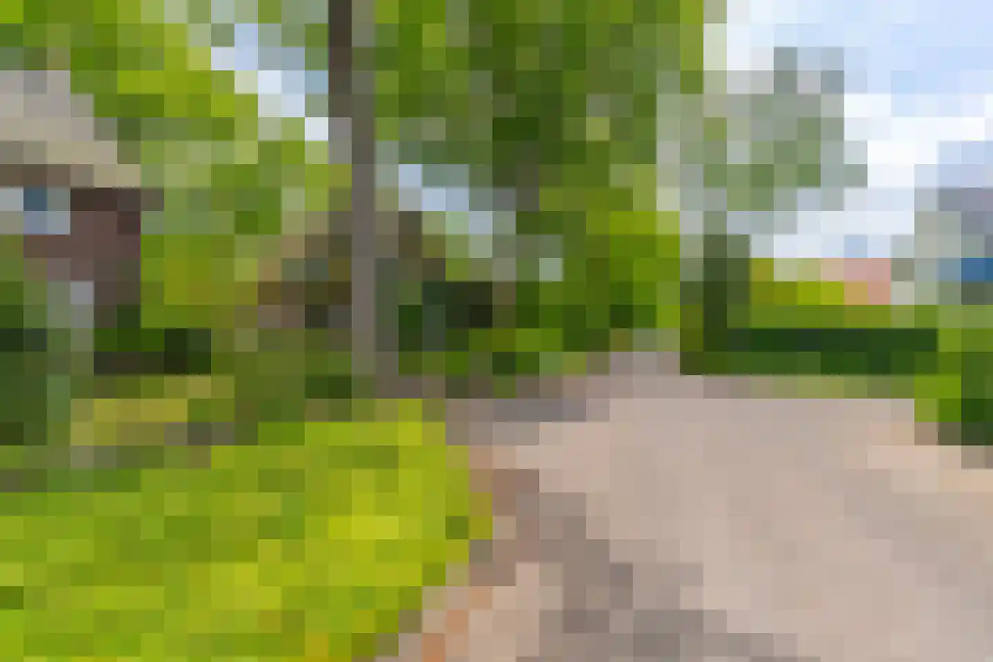 Heelsumseweg 52 Wolfheze thumbnail 4