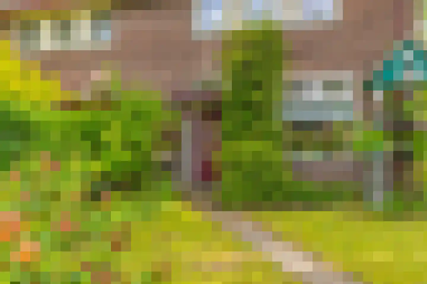 Heelsumseweg 52 Wolfheze thumbnail 5