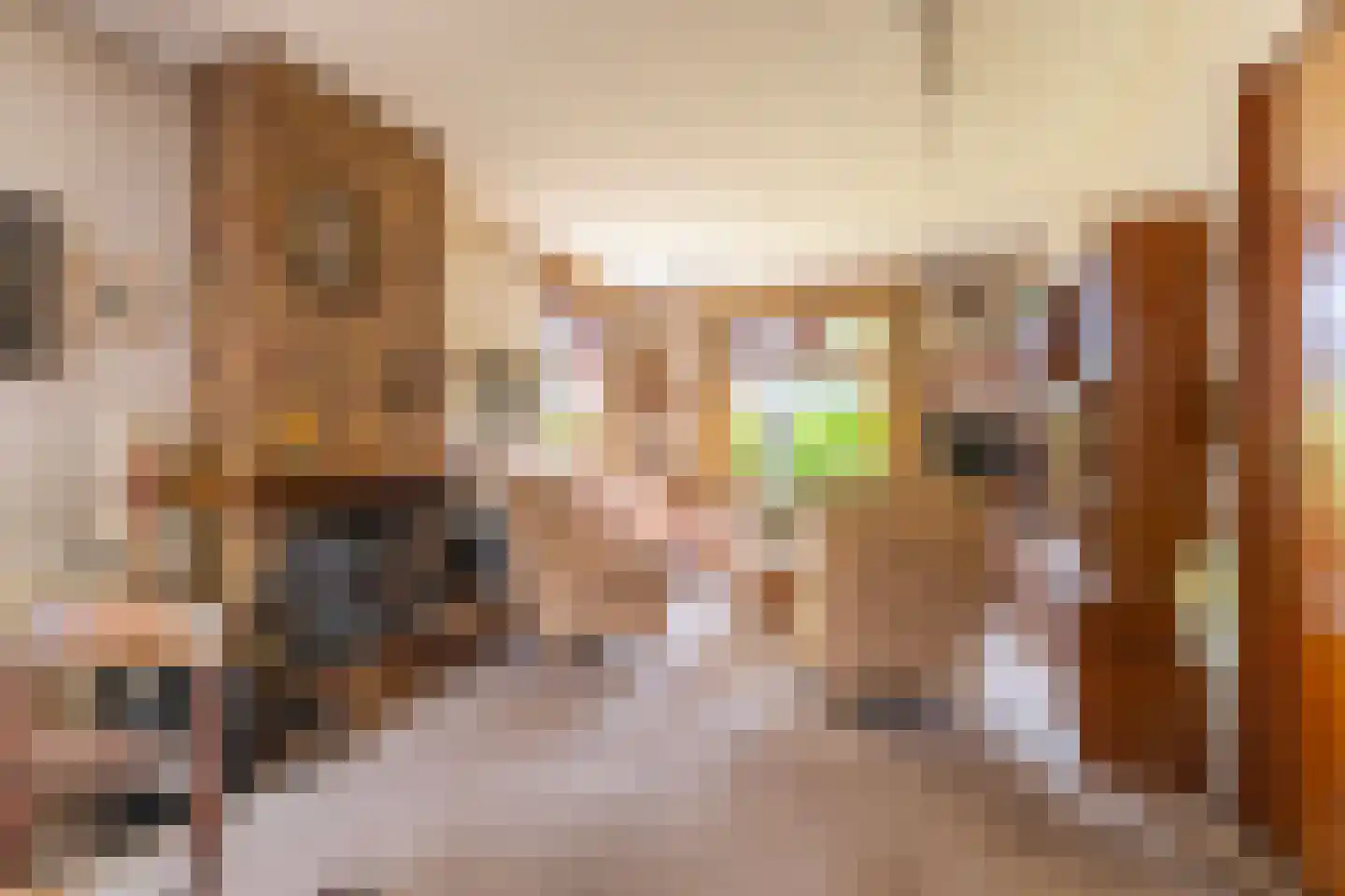 Heelsumseweg 52 Wolfheze thumbnail 9