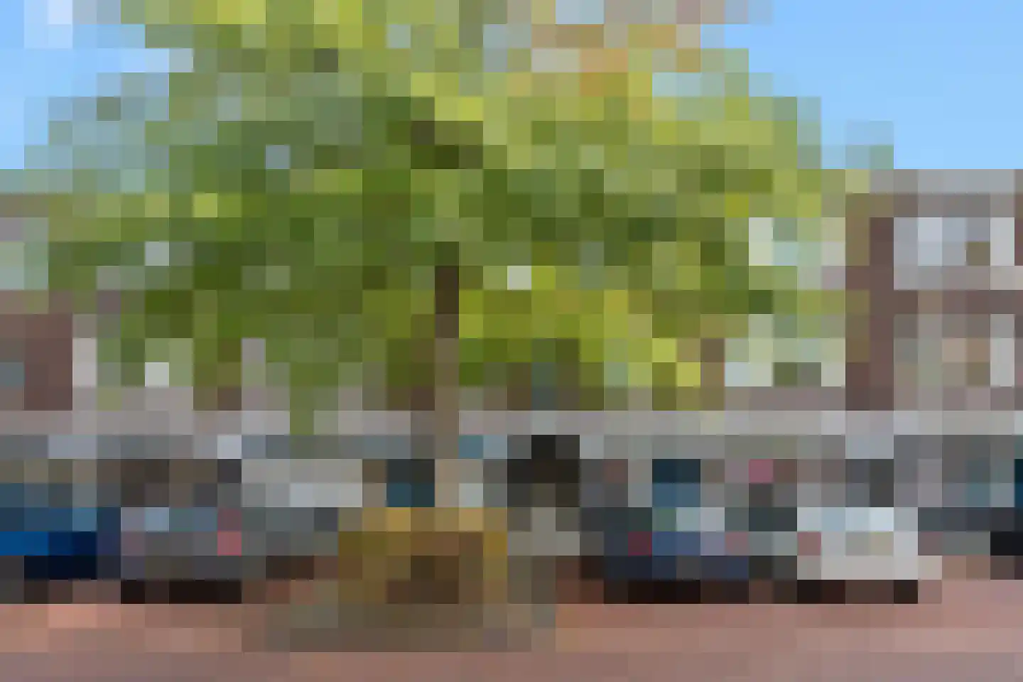Heelsumstraat 108 Den Haag thumbnail 30