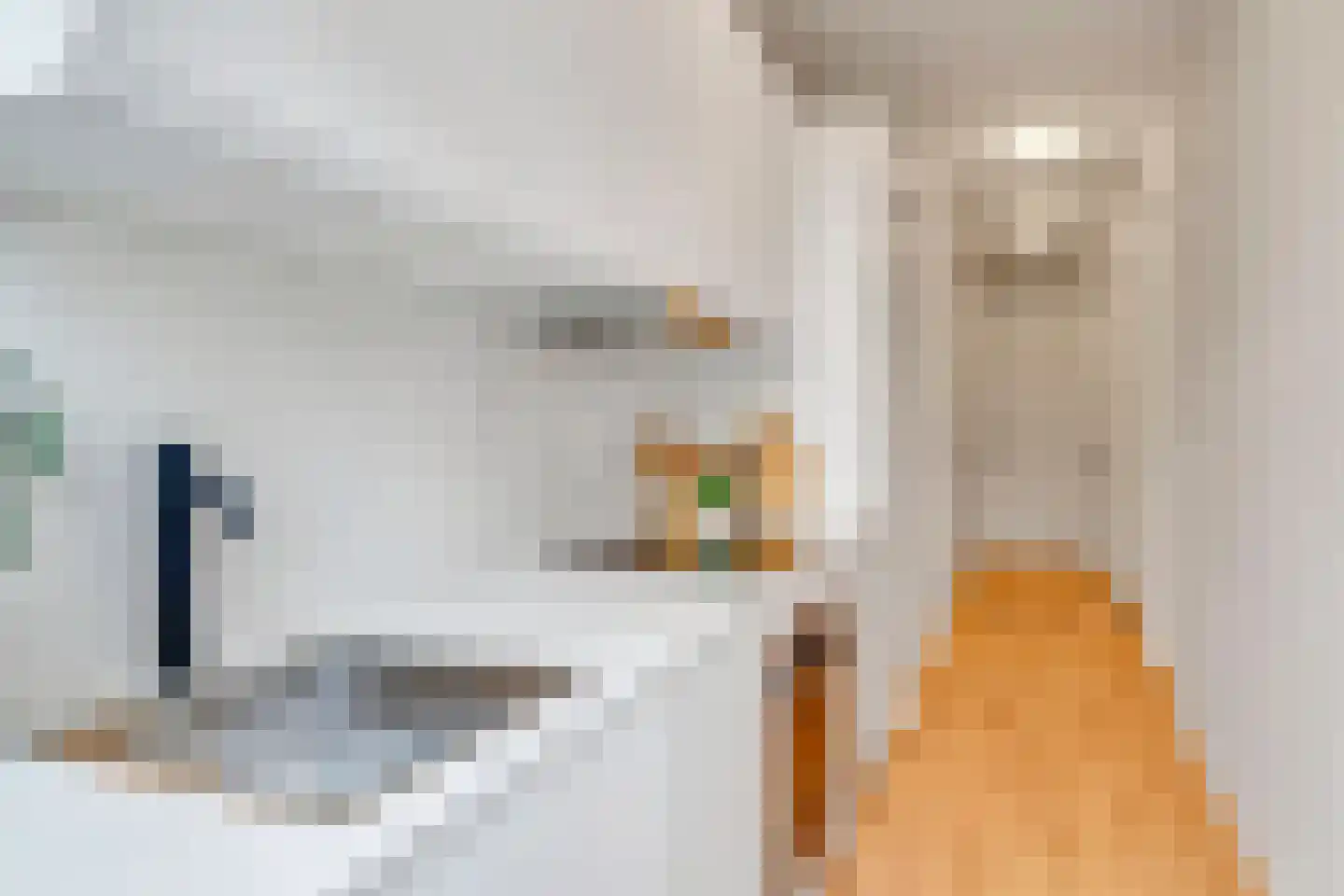 Heelsumstraat 108 Den Haag thumbnail 9
