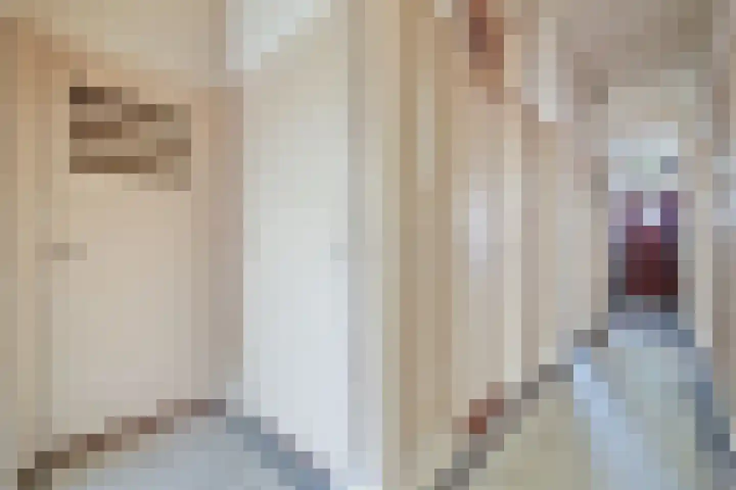 Heelsumstraat 12 Den Haag thumbnail 19
