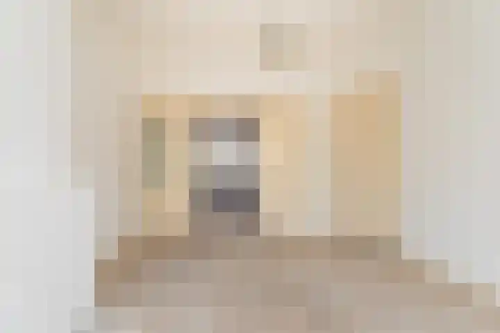 Heelsumstraat 49 Den Haag thumbnail 5