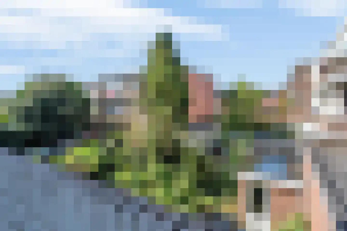 Heelsumstraat 51 Den Haag thumbnail 23