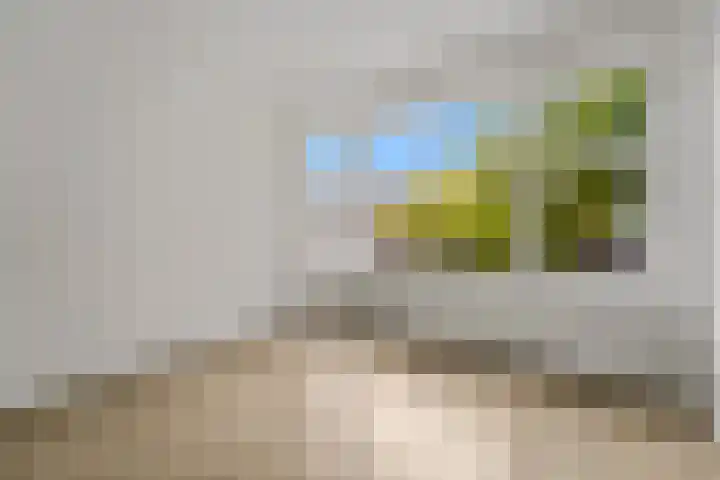 Heelsumstraat 52 Den Haag thumbnail 4