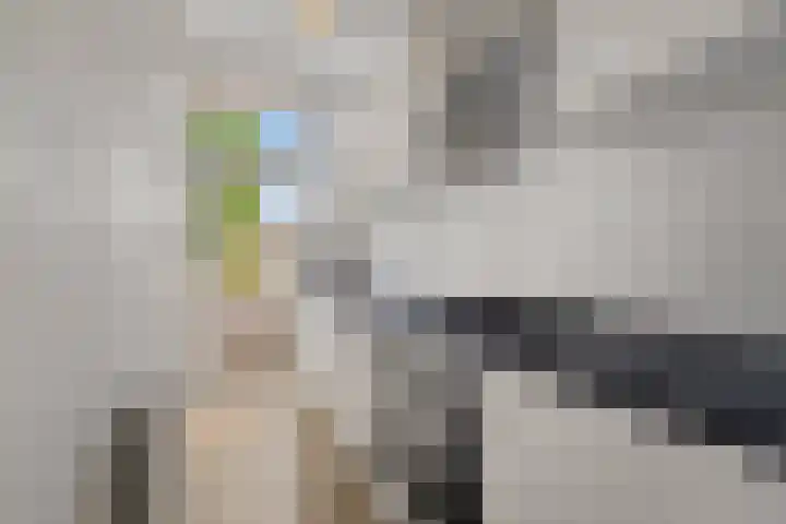 Heelsumstraat 52 Den Haag thumbnail 5