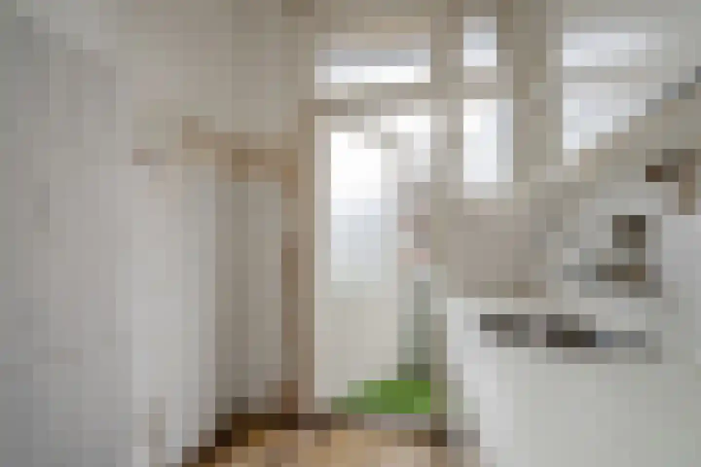 Heelsumstraat 64 Den Haag thumbnail 14