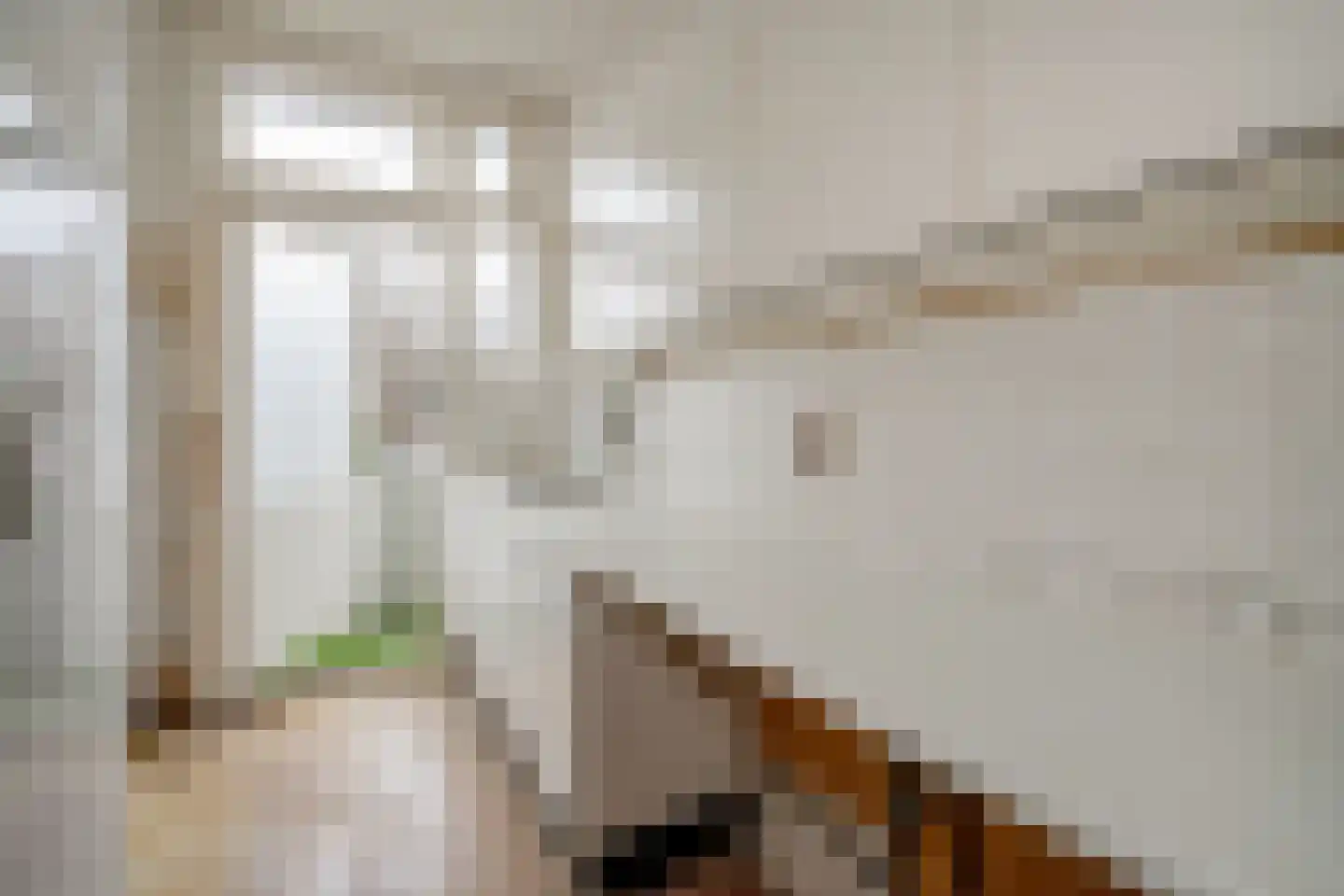Heelsumstraat 64 Den Haag thumbnail 5