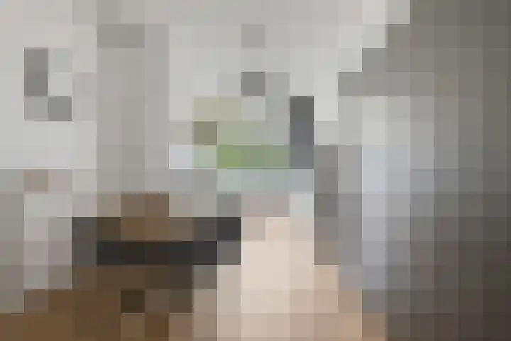 Heelsumstraat 75 Den Haag thumbnail 12