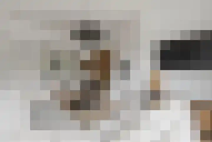 Heelsumstraat 75 Den Haag thumbnail 8