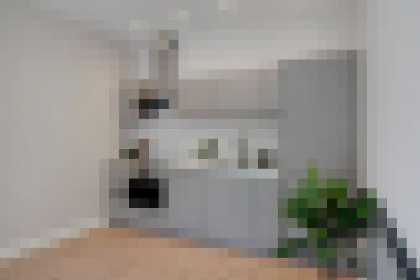 Heelsumstraat 78 Den Haag thumbnail 10