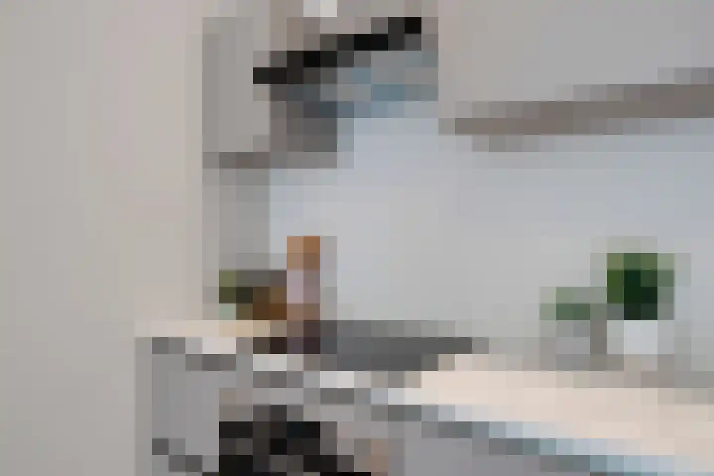 Heelsumstraat 78 Den Haag thumbnail 11