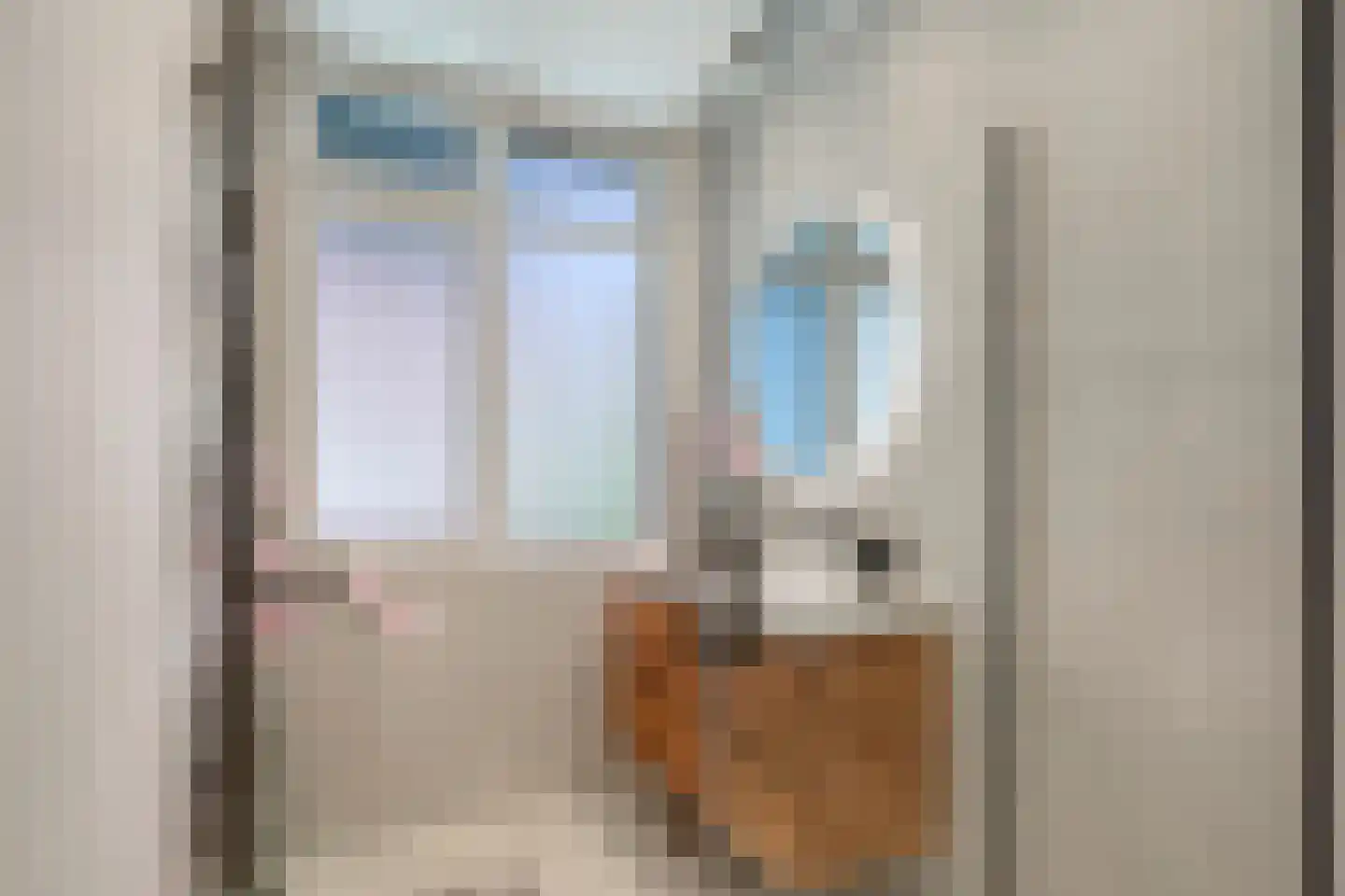 Heelsumstraat 78 Den Haag thumbnail 19
