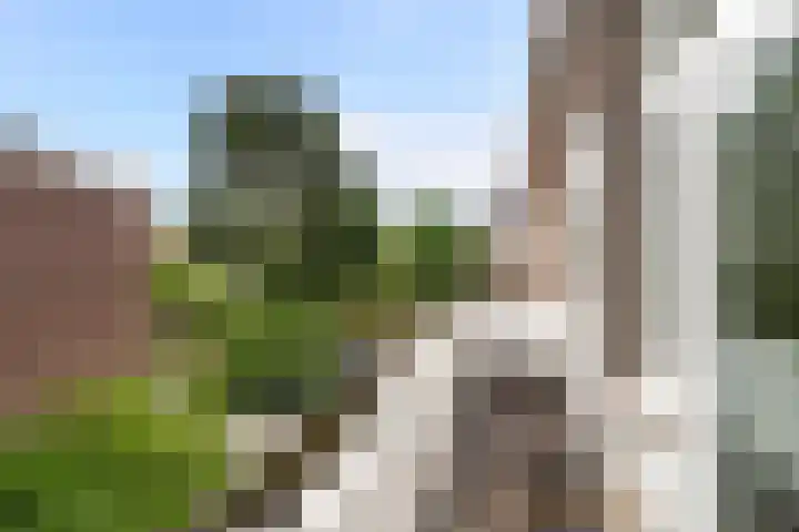 Heelsumstraat 80 Den Haag thumbnail 22
