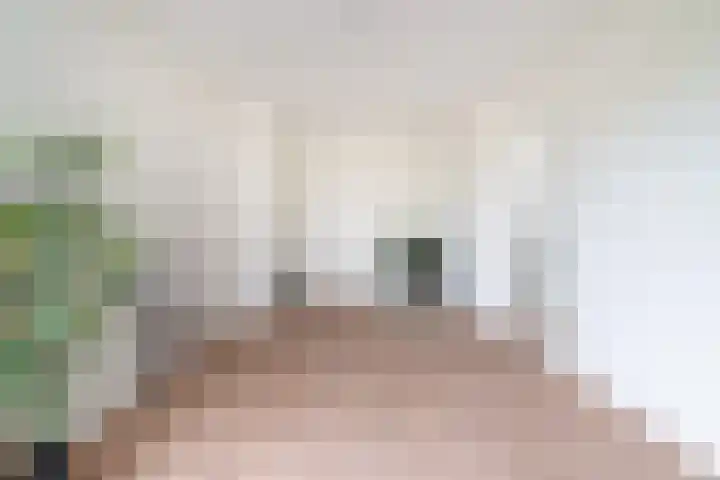 Heelsumstraat 80 Den Haag thumbnail 4