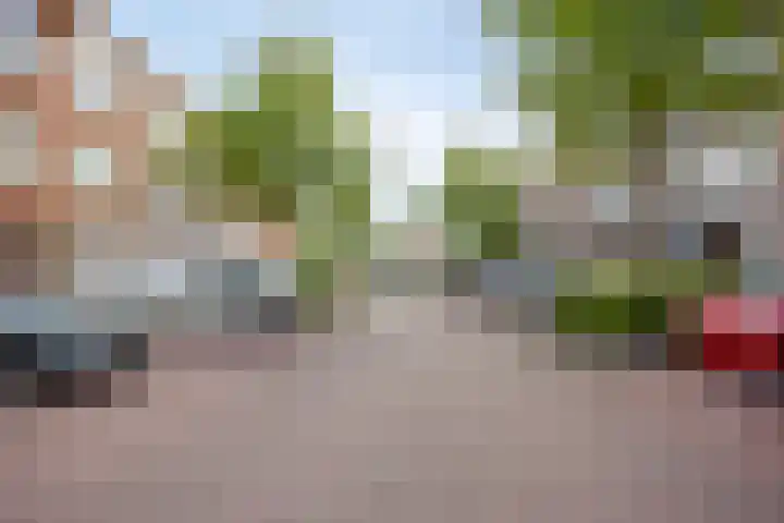 Heelsumstraat 85 Den Haag thumbnail 30